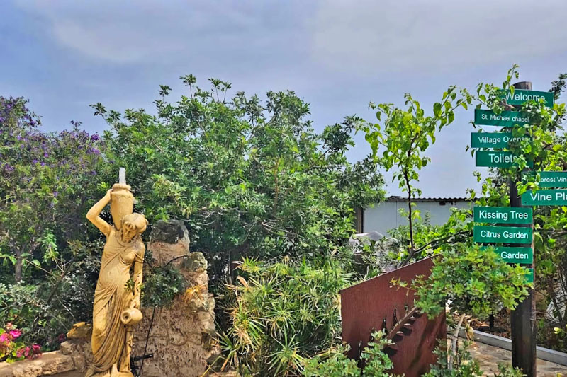 Ogród botaniczny Adonisa