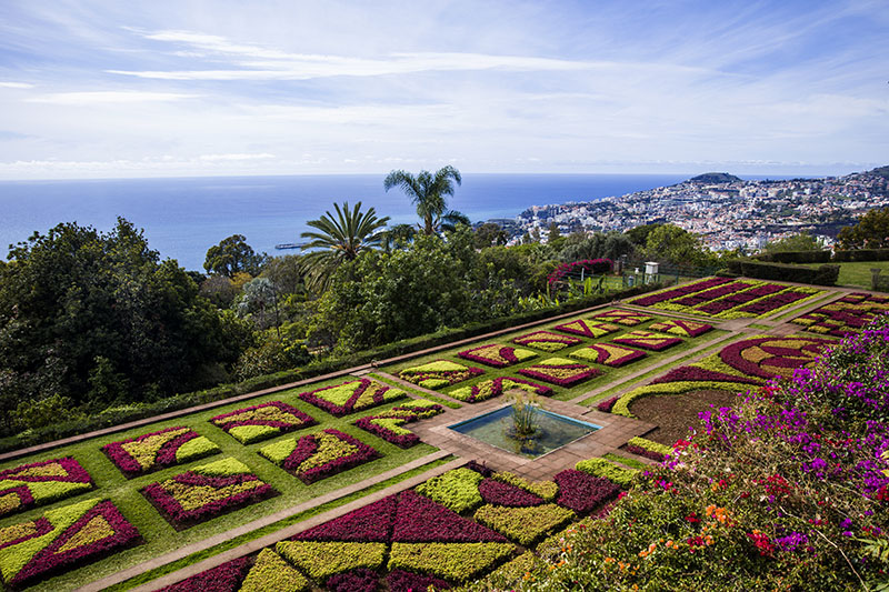 Ogród botaniczny Jardim Botânico da Madeira w Funchal