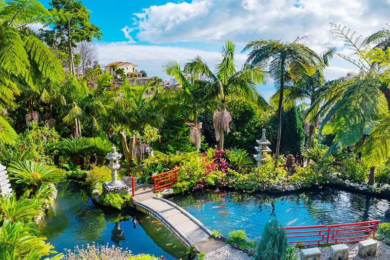 Ogród botaniczny Monte Palace Madeira w Funchal