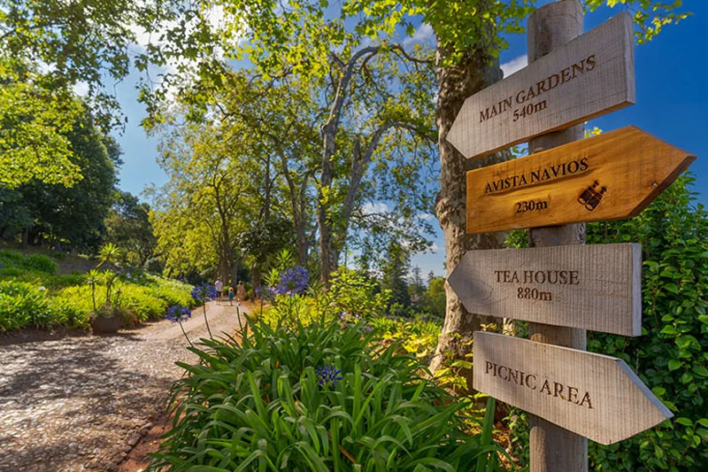 Ogród botaniczny Palheiro Gardens w São Gonçalo