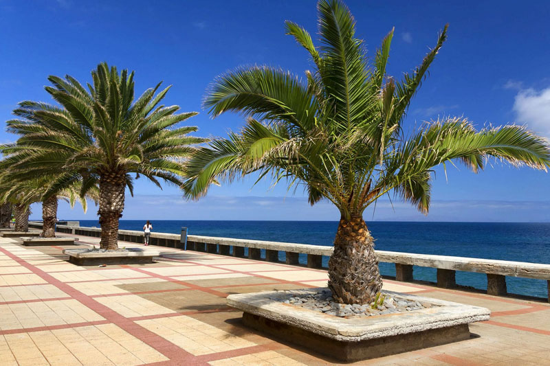 Promenada w Caniço